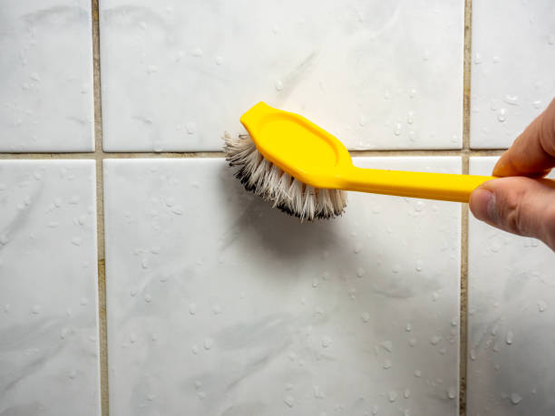 Best Toxic Mold Removal  in Rouse, CA