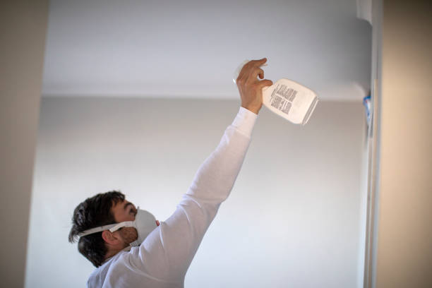 Best Mold Cleaning Services  in Rouse, CA
