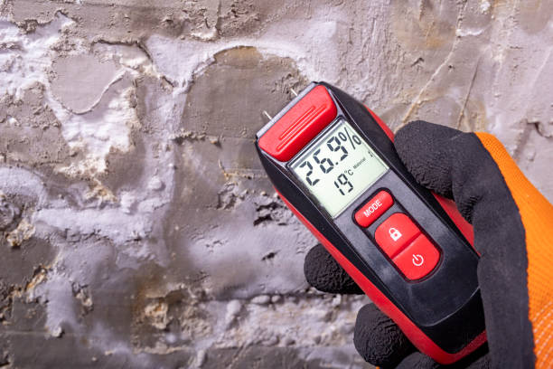 Best Residential Mold Removal  in Rouse, CA