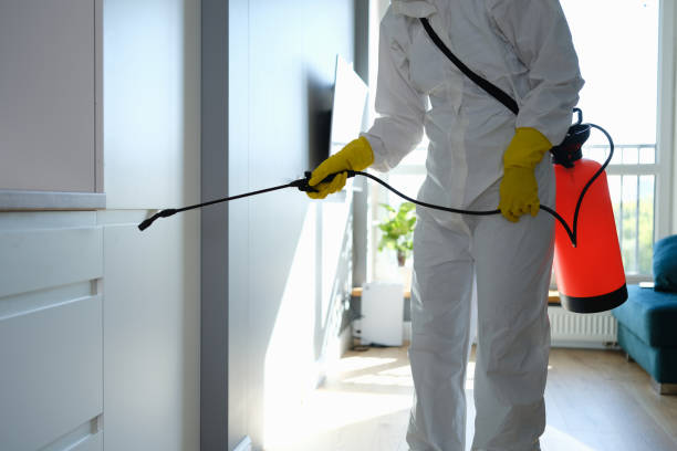 Best Office Mold Removal Services  in Rouse, CA