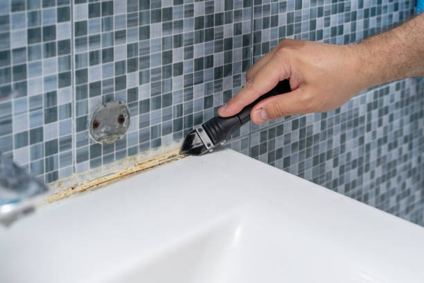 Best Mold Testing  in Rouse, CA