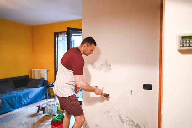 Best Mold Testing and Removal  in Rouse, CA