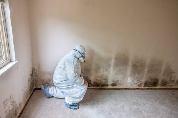 Best Mold Testing  in Rouse, CA